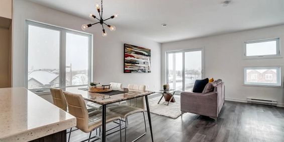 331 Chemin De La Savane (Gatineau) Magnifique Appartement De Deux Chambres - Photo 3