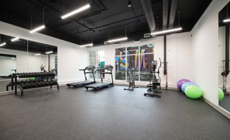 Preston: Loft Suites – 710 Westminster, Winnipeg, MB - Photo 5