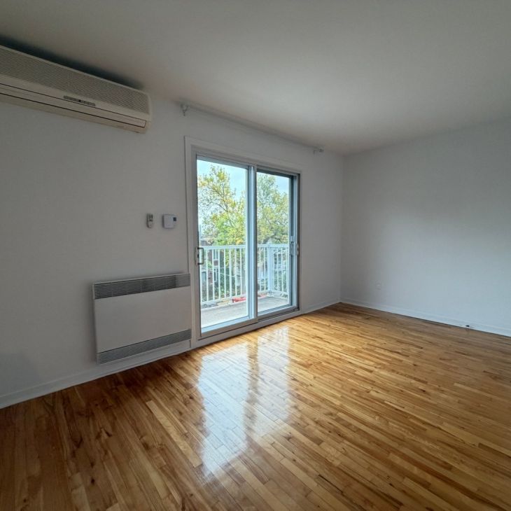 10245 Rue D'Iberville, H2B 2T7, H2B 2T7, Montréal - Photo 1