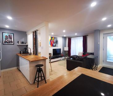 1 Bedroom - 1067 Rue Saint-André, Montréal - Photo 1