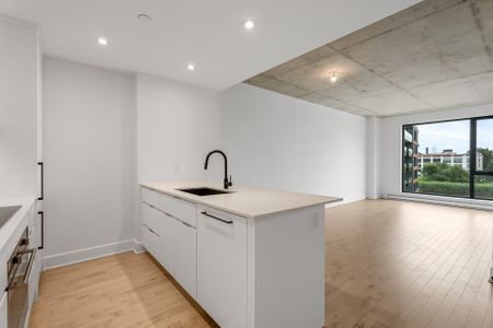 42 Rue du Square-Sir-George-Étienne-Cartier #426, Montréal (Le Sud-Ouest), H4C0C6 - Photo 5