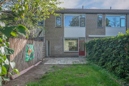 Rumpler, 6, Soesterberg - Foto 4