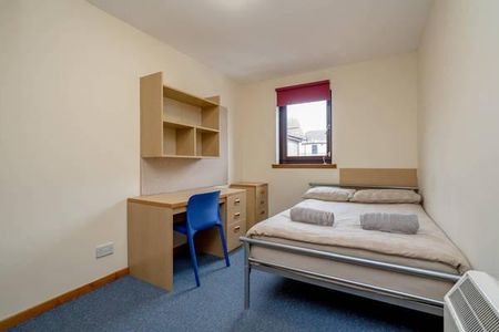 5 bedroom flat to rent - Photo 5