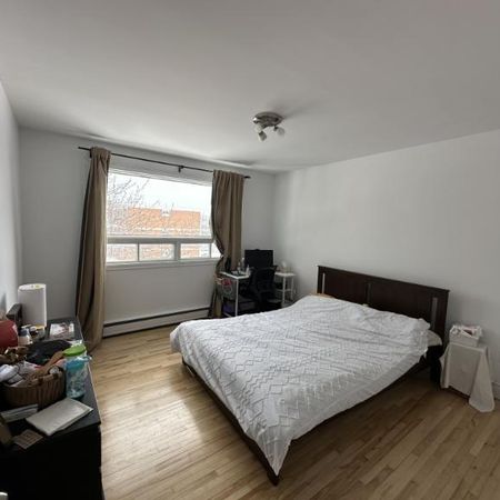 4 1/2 - Québec (Sainte-Foy) - 1 385 $/mois - Photo 4