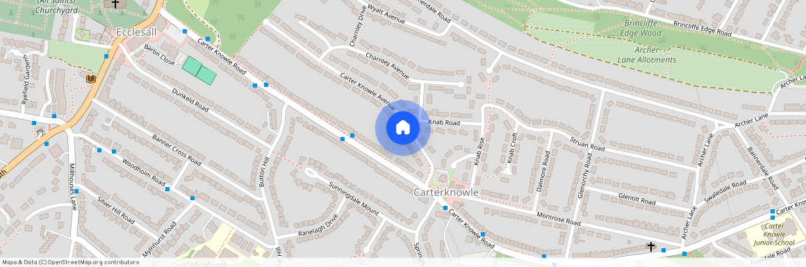 13 Carter Knowle Avenue, S11