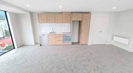 Welcome to this sub-penthouse in the brand new Pinnacle Apartments - Photo 2