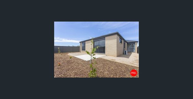 Spacious & modern family home! Gardener Included! Possibly Available Earlier!! - Photo 1