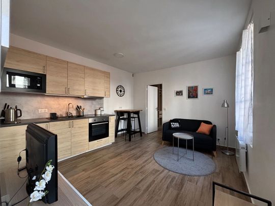 Paris 3 - Saint Martin - Photo 1