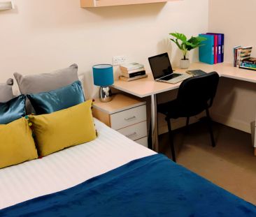 Deluxe Studio - Photo 3