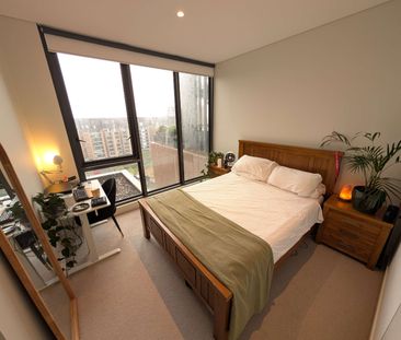 Zetland - Photo 3
