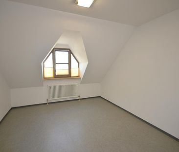 Naturnah wohnen! Schnuckelige 2-Zimmer-Wohnung in Berching - Photo 1