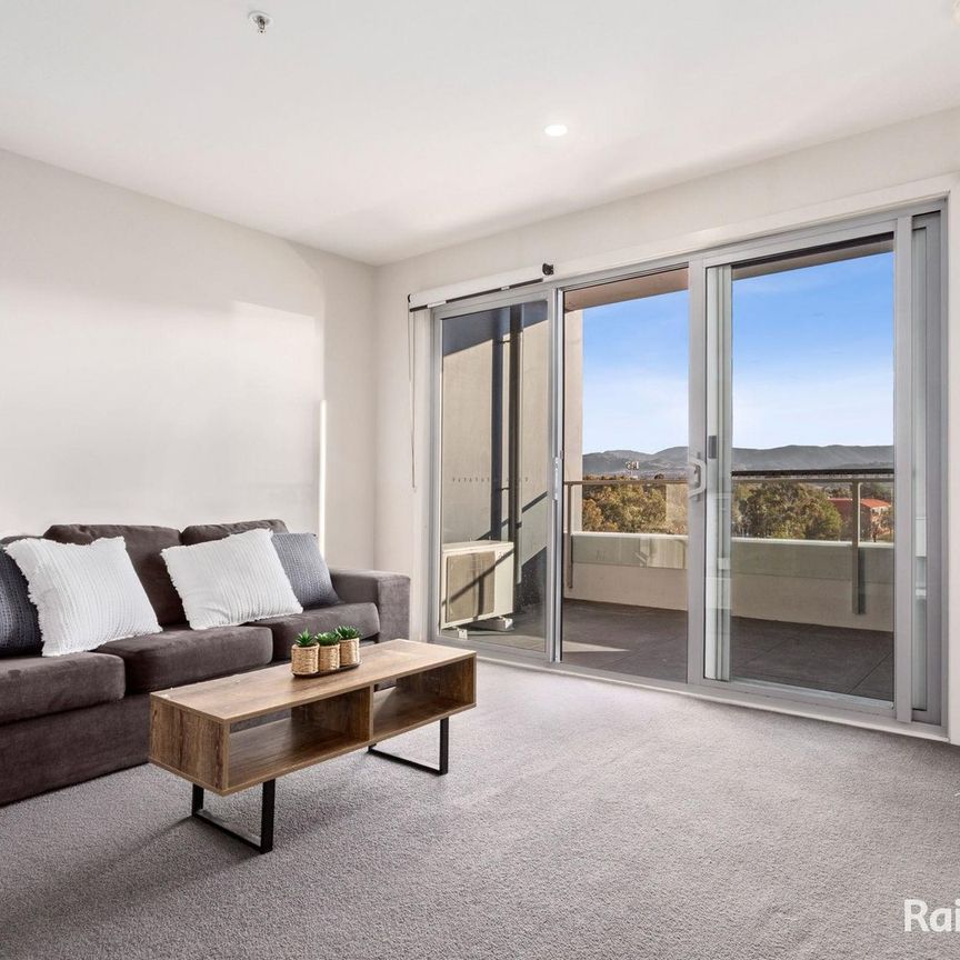 236/325 Anketell Street, Greenway ACT 2900 - Apartment For Rent | Domain - Photo 1