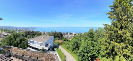 Rent a 3 ½ rooms apartment in Rorschacherberg - Foto 2