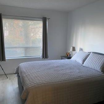 1 Bedroom Apartment For Rent - Photo 3