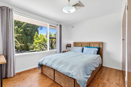 17 Tralee Avenue, Killarney Heights NSW 2087 - House For Rent | Domain - Photo 3