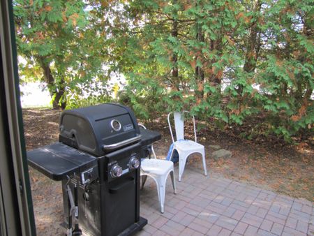 For Lease - 11 HARBOUR Street Unit# 341, Collingwood, Ontario - Photo 2