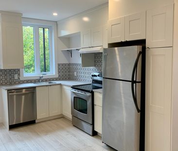 6588 Av. Henri Julien, Montréal (Rosemont, QC H2S - Photo 3