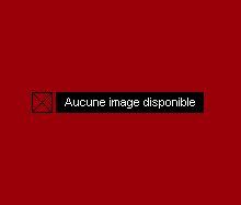 Proche de Nyon, bel appartement de 3,5 pièces dans les combles - Foto 1