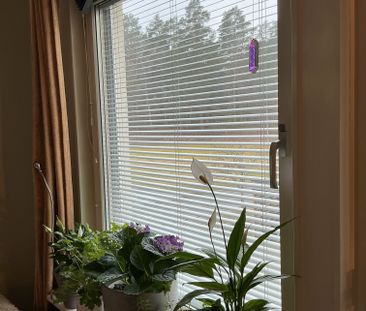 Luthagsesplanaden, Uppsala - Photo 3