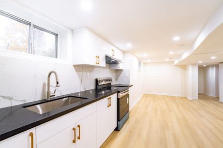 For Lease - 243 Ruggles Avenue Unit# Bsmt #1, Richmond Hill, Ontario - Photo 2