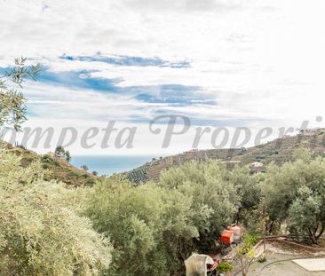 Country Property in Torrox, Andalucia , Costa del Sol - Photo 2