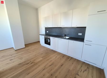 Erstbezug: modern, hell & gut geschnitten! - Photo 2