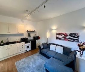 Studio Flat, Stile Hall Gardens, W4 - Photo 4