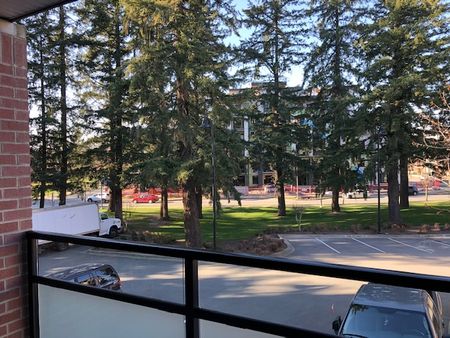 THURSTON APTS - 209 - T209 - Photo 5