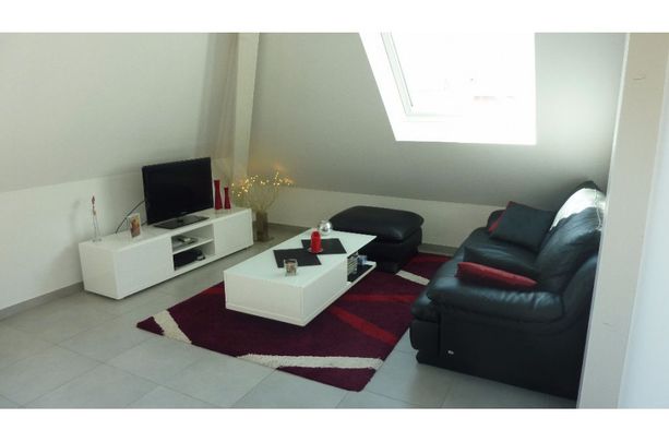 Appartement - SELESTAT - 58m² - 2 chambres - Photo 1