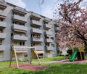 2.5 Zimmer, 47 m², 5. Stock - Photo 6