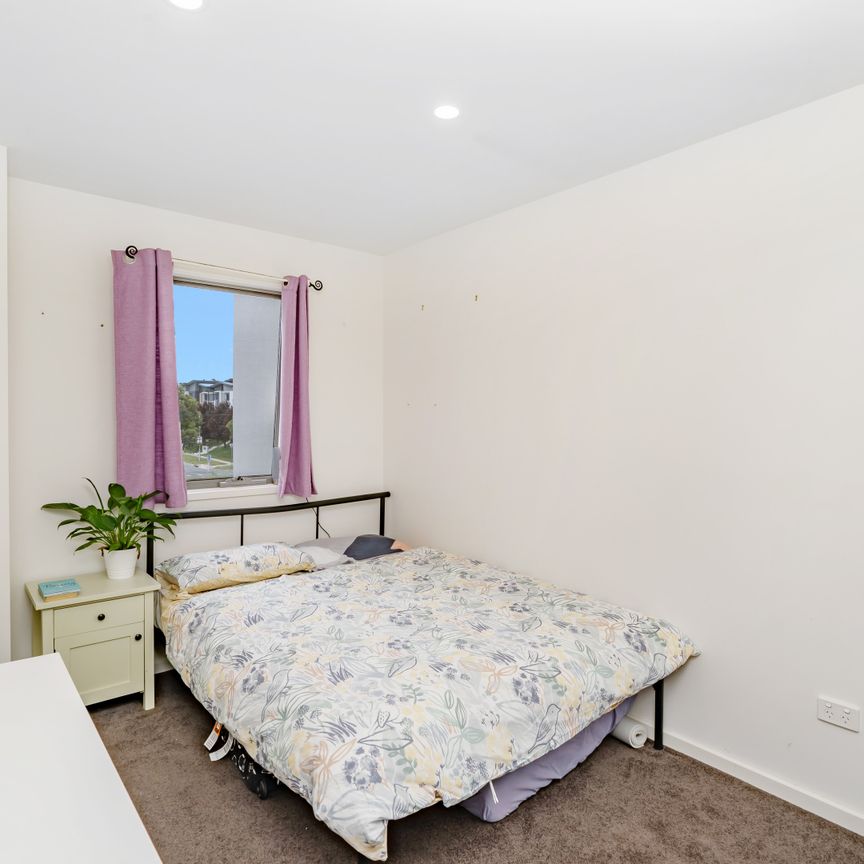 236 Flemington Road, Harrison ACT 2914 - Apartment For Rent | Domain - Photo 1