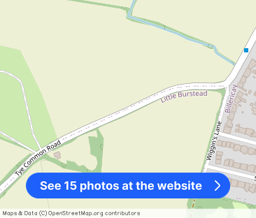 Tye Common Road, CM12 - Photo 1