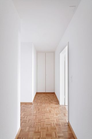 "Wohnung im Surinam gesucht?" - Foto 2