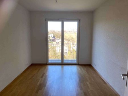 Magnifique appartement de 7 pièces en attique avec terrasse au Grand-Lancy - Photo 5