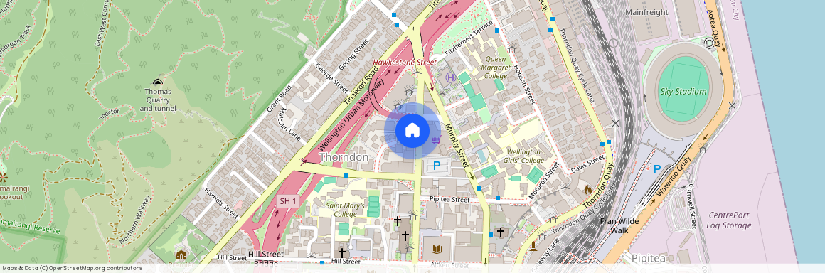 Level 1/101 Molesworth Street, Thorndon, Wellington City