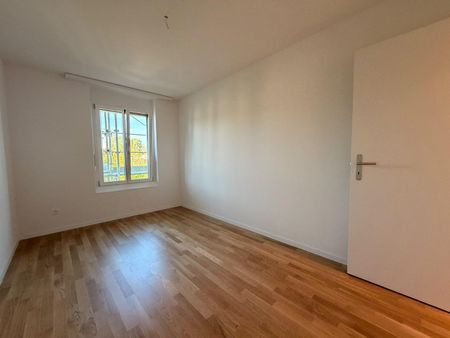 neu sanierte 2.5-Zimmerwohnung im idyllischen Rheinfelden - Photo 2