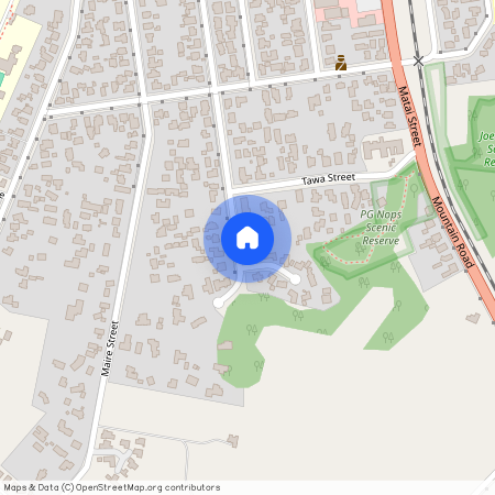 41 Mahoe Street, Inglewood, New Plymouth