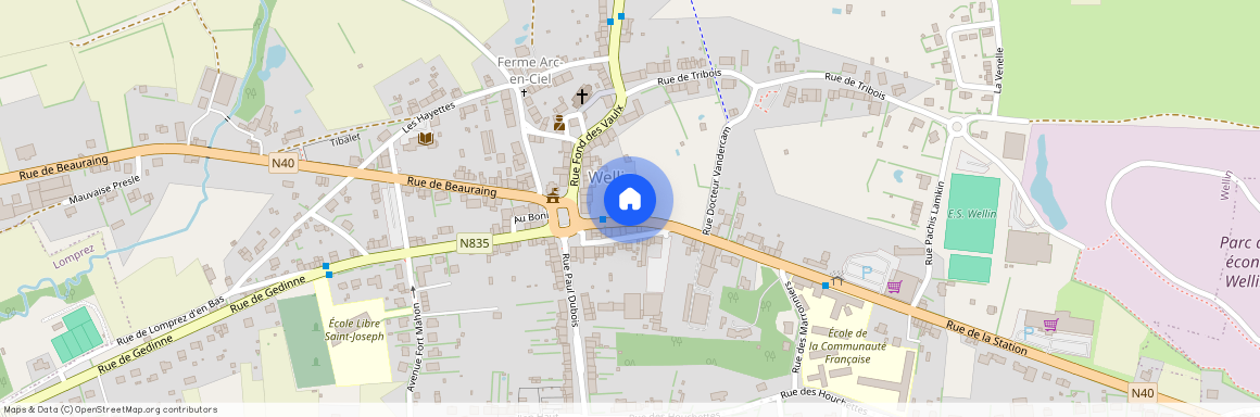 Rue de la Station, 4, 6920, Wellin