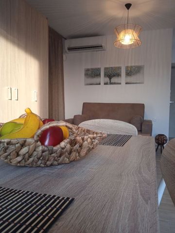 Studio/Γκαρσονιέρα για ενοικίαση Αετός (Κάρυστος) - Photo 5