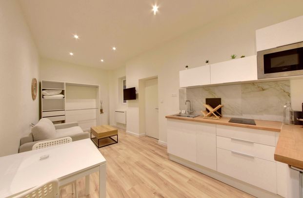 Location Appartement 1 pièce 19m² GRENOBLE 38000 - Photo 1