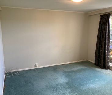 21 Mclintock Street, Johnsonville - Photo 6