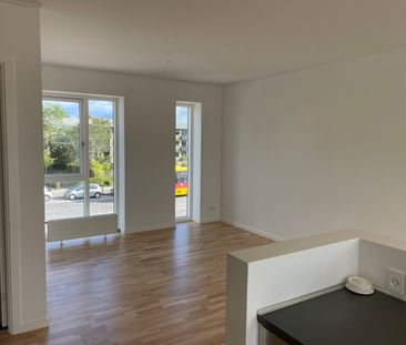Stor 1. værelses med tagterrasse - Photo 6