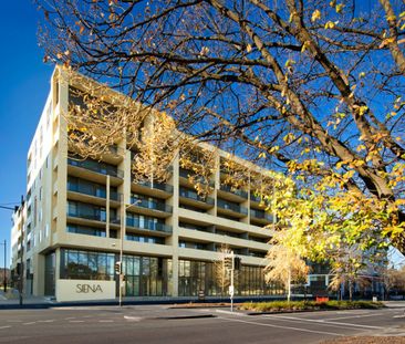 Executive And Close To Everything! - Photo 5