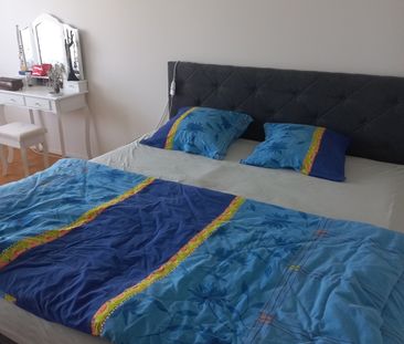 APPARTEMENT DE 3 PIÈCES À ALPNACHSTAD (OW), MEUBLÉ, TEMPORAIRE - Photo 4