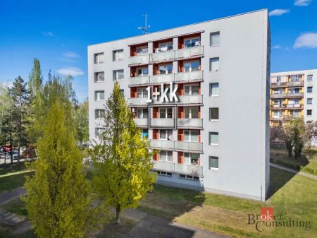 Pronájem bytu 1+kk 33 m - Fotografie 3