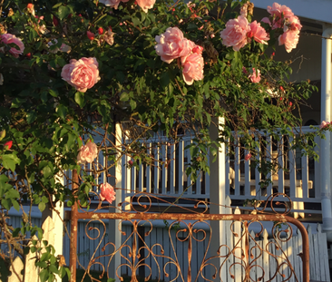 Queenslander With Stunning Views - Photo 6