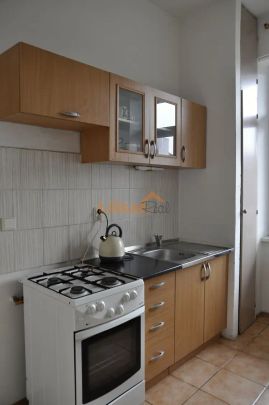 Pronájem bytu 2+1 s prostornou lodžií, 54 m - Photo 1