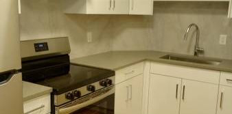 Newly Renovated 1 Bdrm and Den apartment for rent. Rent is $1,895 - Photo 2