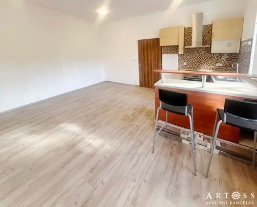 (M16) Pronájem krásného bytu 1+kk, Mostecká ul., Brno Husovice, 32 m - Photo 1