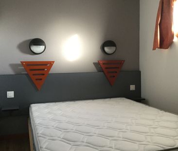 Location Appartement 2 pièces 30m² CHASSENEUIL DU POITOU 86360 - Photo 5